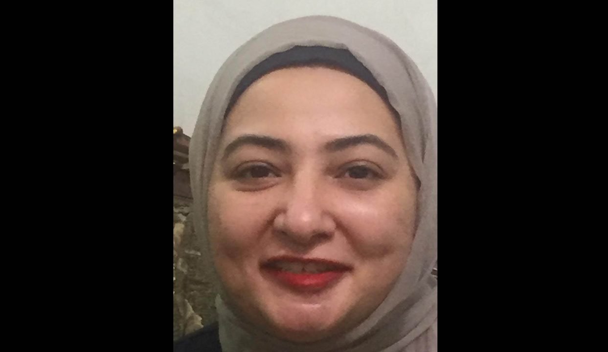 Dr. Marwa El-Shinawy 